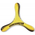 Boomerang Turnix