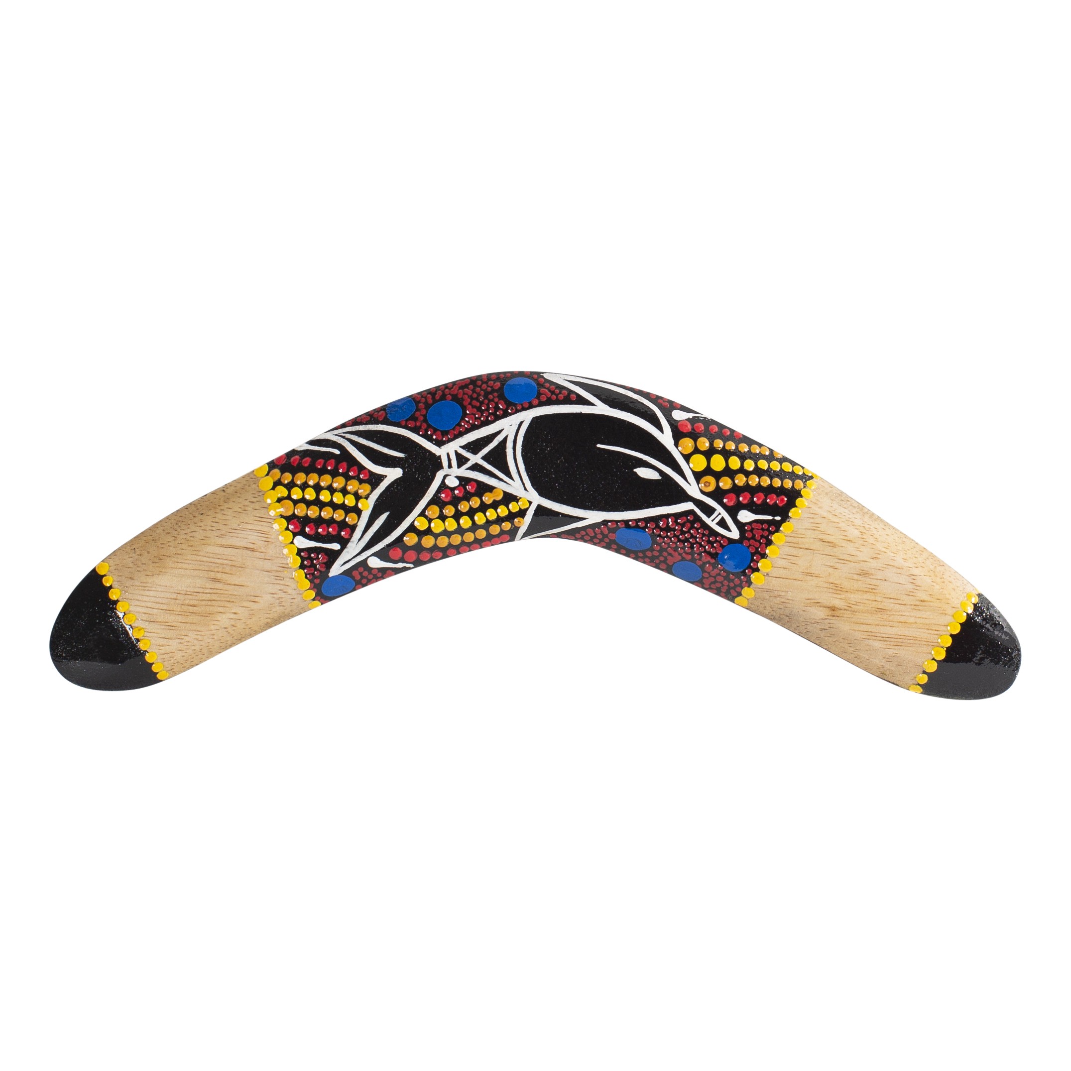 boomerang toy