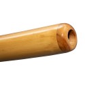DIDGERIDOO: Bamboo PRO-series einschließlich didgeridootasche